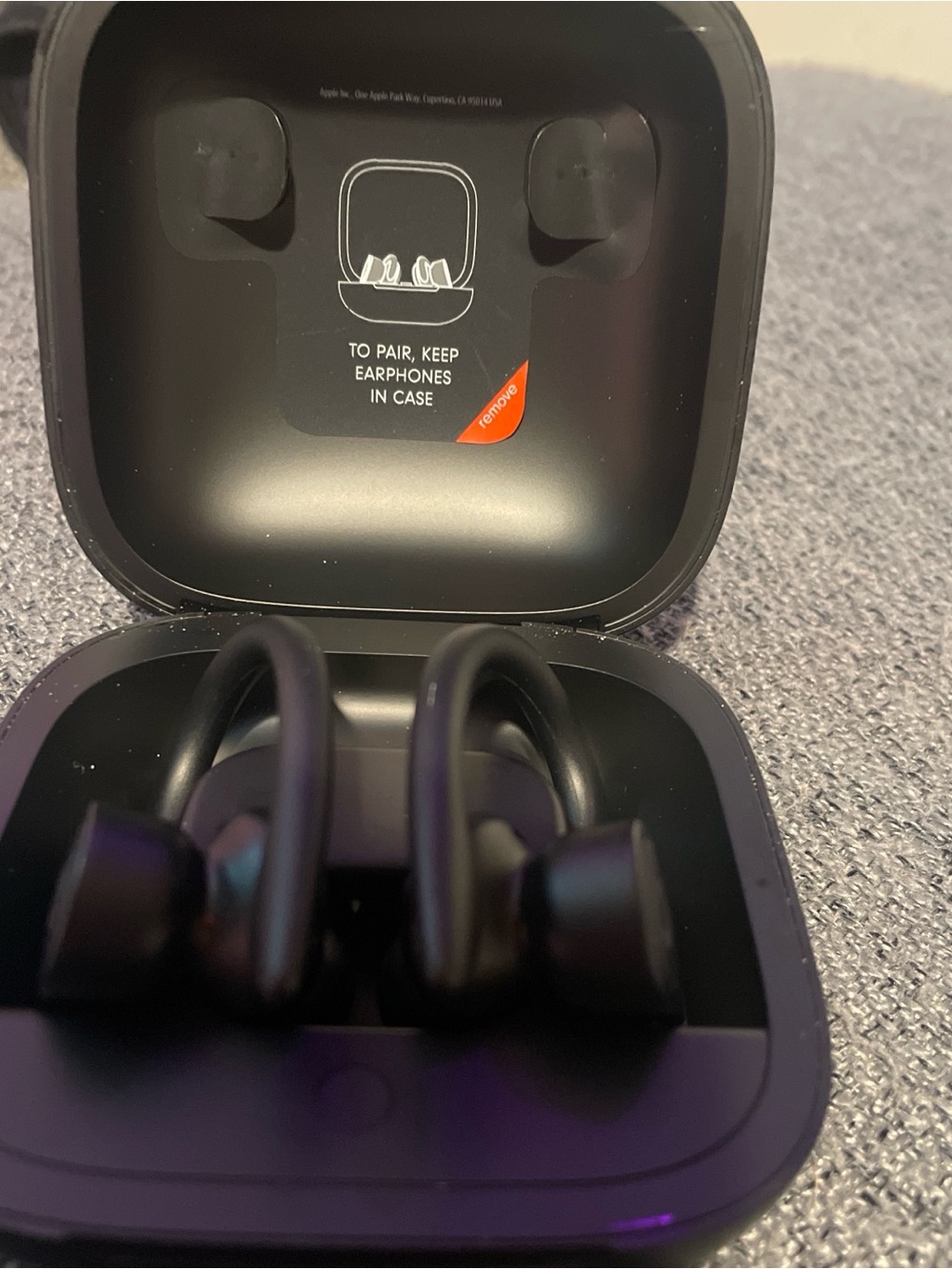 Beats by Dre Powerbeats Pro Wireless Earbuds - Black
